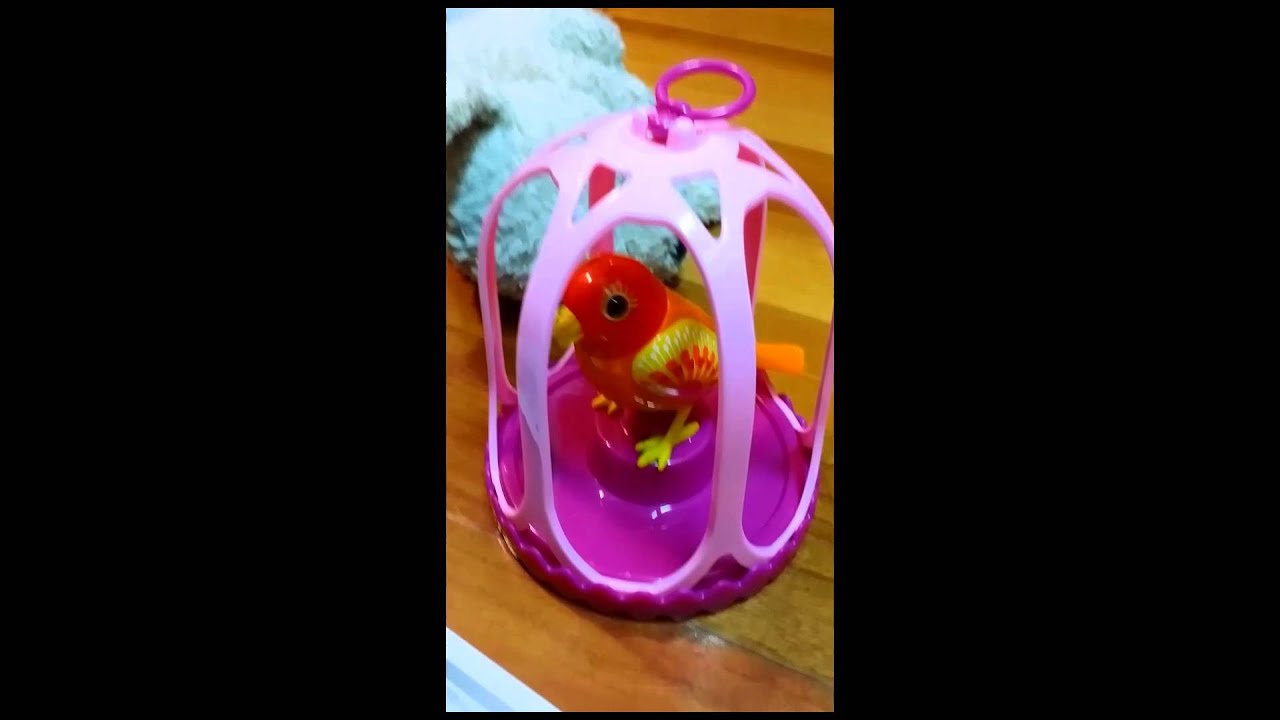 terrapin row 새장속 디지버드,digibird