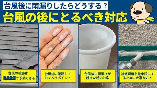 【台風時の対応】台風で被害を受けないための対応