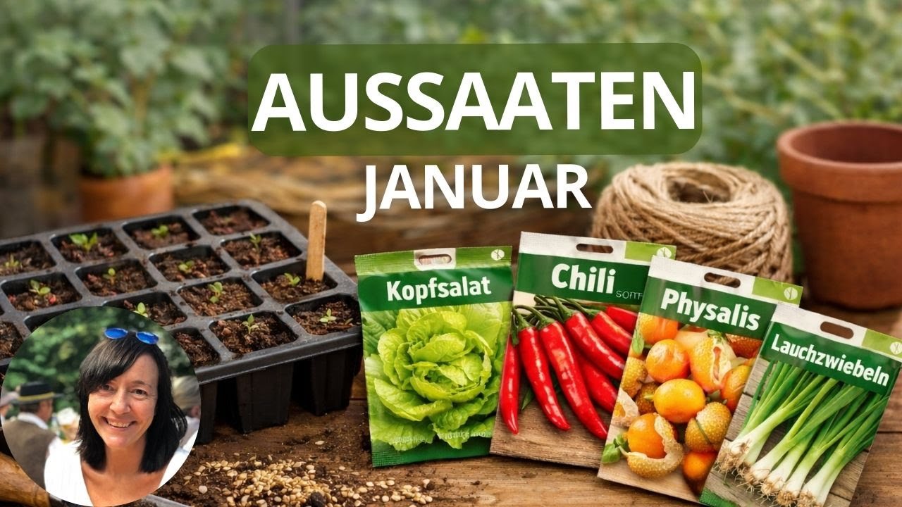 Meine Aussaaten im Januar 2026 - kalte und warme Anzucht