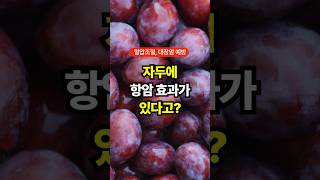 여름철 대표 과일 자두의 놀라운 효능 - 대장암 예방까지! - 중년 건강 식단 과일 추천