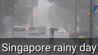 Rainy season Singapore || বর্ষা মৌসুম কেমন সিংগাপুরে। screenshot 2