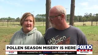 Pollen season misery is here