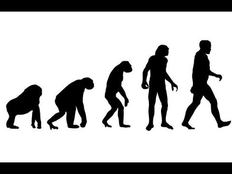 فيديو: 10 حقائق غريبة عن غرابة التطور البشري