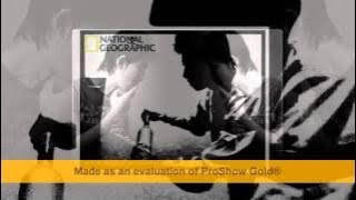 Iwan Fals - Kembang Pete