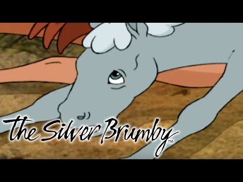 The Silver Brumby - The Brolga Wants a Fight (HD - Full Episode) | Videos For Kids