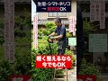 今切ると危険です…5月後半の剪定 #shorts #庭師