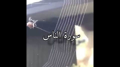 تلاوة خاشعة تريح النفس لى سورة الناس بصوت القارئ أحمد العجمي مع اجمل منظر طبيعي جبال