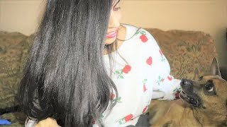 ASMR Meet my dog, Dwayne Johnson! Brushing/scratching fur 💗 screenshot 3