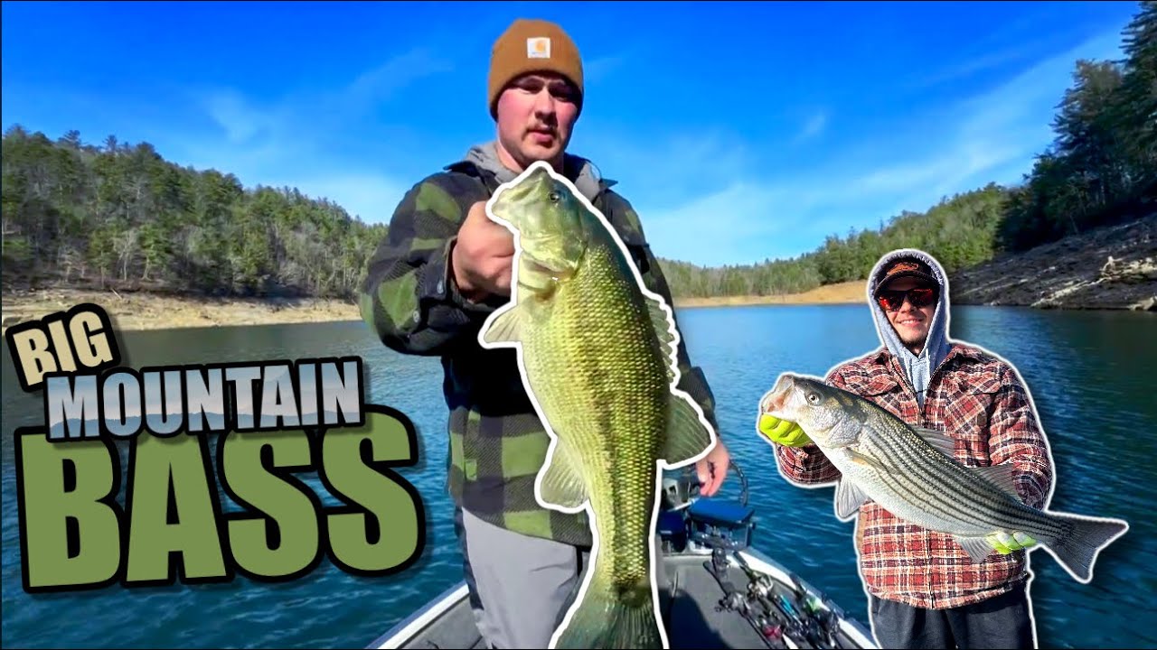 Tips on January Bass Fishing | How We Catch Em In The COLD