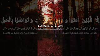 Noreen Muhammad Siddiq Voice