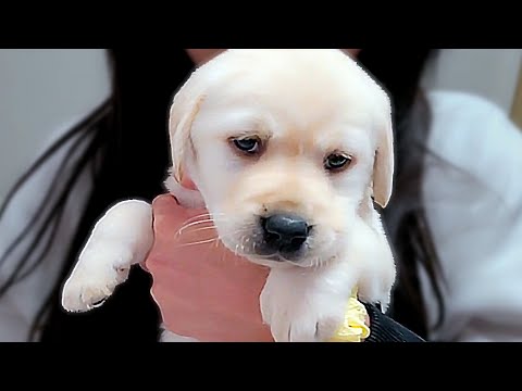 I have a new family member