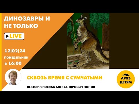 Занятие "Сквозь время с сумчатыми" кружка "Динозавры и не только" с Ярославом Поповым