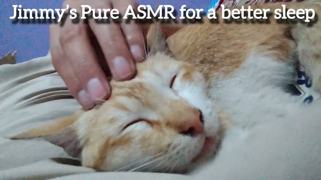 Jimmy’s Deep Sleep Purrs: 9 Minutes of Pure ASMR Relaxation