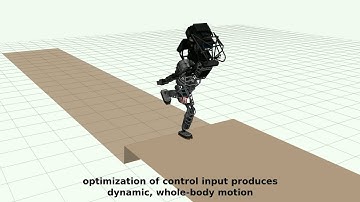 Constrained robotic optimization and control