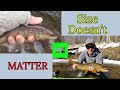 SIZE DOESN'T MATTER | Trout Magic | Book Club 18