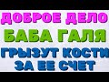 Доброе Дело вместе.Баба Галя. Грызут кости за её счёт