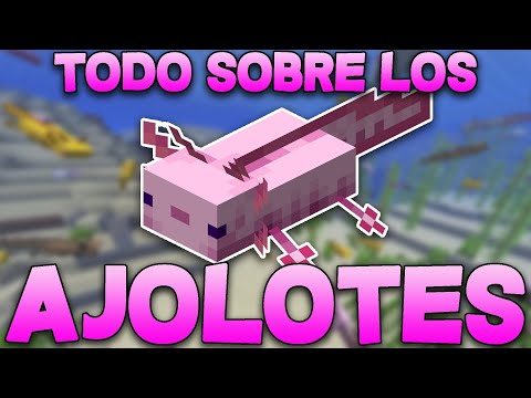 Video: ¿Desaparecerá mi ajolote en Minecraft?