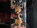 Big fight under posing routine 😱👍👍🔥#posing #trendingshorts #bodyuilding #youtubeshorts #shorts #gym