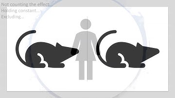 What do we mean by "controlling for a variable" in statistics?