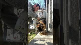 Bu Dünyada En Güzel Duygu Hayvan Sevgisidir