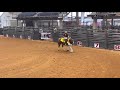 Cowgirl Sioux - Freestyle Reining - 4H Texas State Horse Show 2021 - Reserve Champion - Audrey Moody