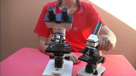 Chi ha inventato il primo microscopio ottico?