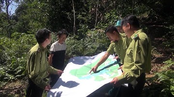 Tuyên Quang thực hiện tốt công tác bảo vệ và phát triển rừng