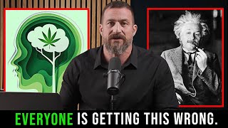 How Cannabis Affects The Brain: Andrew Huberman