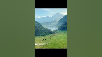 وما علمناه الشعر وما ينبغ - حالات  تلاوات خاشعة