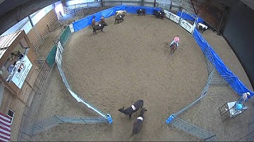 Big Sky Ranch Sorting Saddle Series #4 - #8 HC RANCH HAND (2 CAP SORTER) - Round #1 - Ride #23