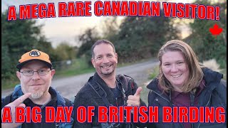 A MEGA RARE CANADIAN VISITOR! A big day British birding