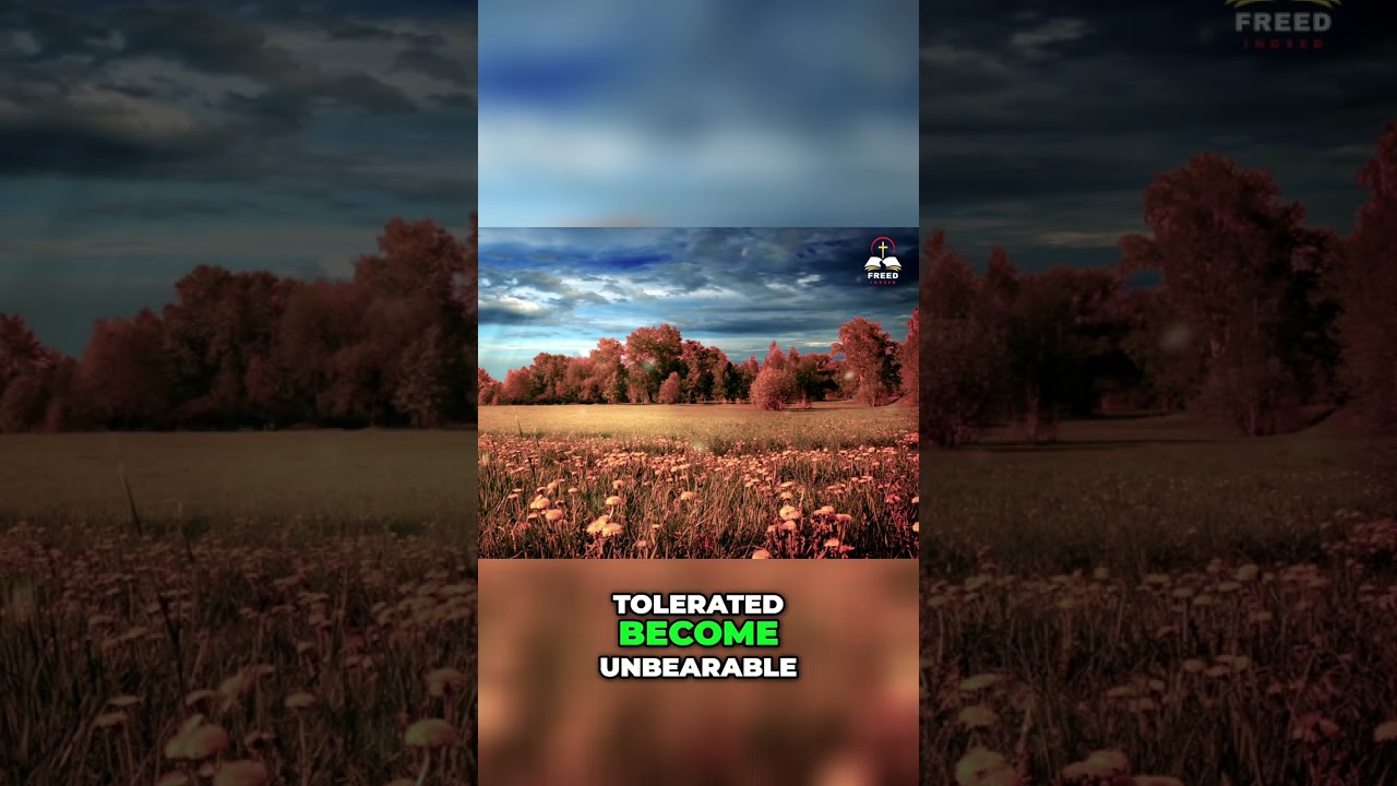 Find Purpose: Ditching Worldly Ways, Living Heaven's Blueprint