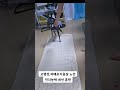 고령견,치매초기증상 노견 인지기능 개선 훈련#강아지인지훈련 #반려견두뇌자극 #강아지치매예방 #시니어독인지훈련 #노령견두뇌운동  #강아지균형훈련
