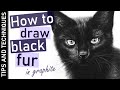 How to draw black fur in graphite  drawing a black cat  tips  tools