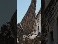 Новый Херсонес/Севастополь. Из Германии в Россию/Крым