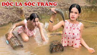 Thế Giới Sốc Nặng 15 Điều Độc Lạ Sóc Trăng Khiến Bạn Không Dám Tin