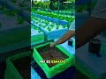 Cultivando el futuro, alimentando al mundo #HidroponiaParaElMundo #Hidroponia #AgriculturaSostenible