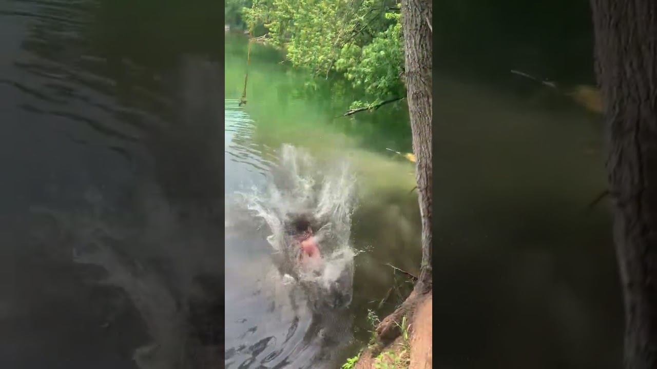 Girl falls from rope swing and belly flops into water
