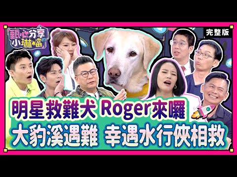 驚魂一瞬間！誰能躲過死神？！領犬員帶領搜救犬Roger赴花蓮尋找生還者！地震來時沈玉琳處變不驚，竟是為了男性的尊嚴？《甄心分享小琳鐺 克莉絲丹光圈蜜粉》1-15/20240508(完整版)