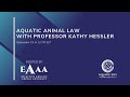 Professor Kathy Hessler On Aquatic Animal Law 