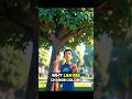 Trees are lying to you before winter.🥶…. #usa #uk #shorts #viral #zacdfilms #knowledge #explore
