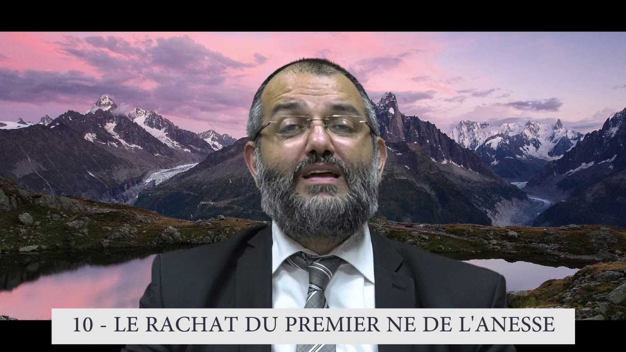 613 Mitsvot - 10eme Commandement DE LA TORAH - Rachat du premier né de l’ânesse  - Rav Ilan Fitoussi