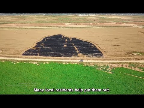 Fighting Fires from “Kite Terror” in Israeli Fields and Forests