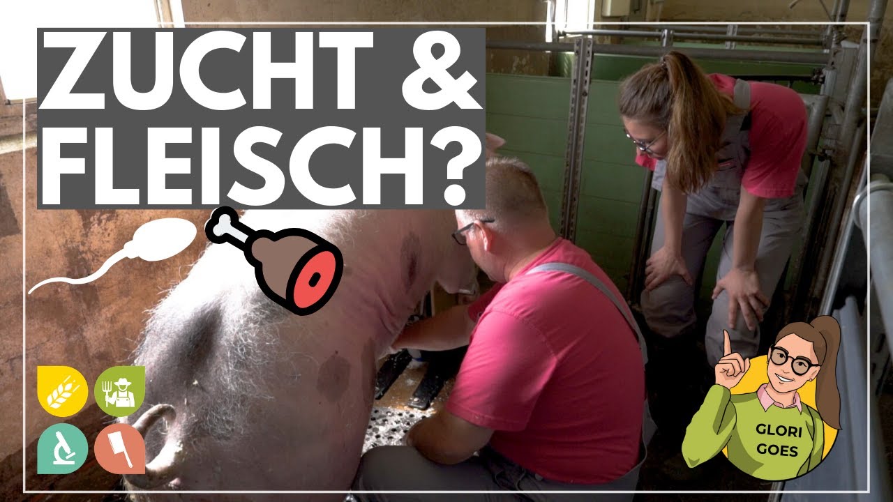 Glori goes Schweinezucht | Hab ich einen Einfluss als F… — Transcript