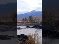 Просто красивая незнакомая пара любуется красотой горной реки 😍🌍Алтай,  скалы Зубы Дракона,  Катунь
