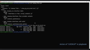 Ansible Lookup in action playbook