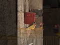 طائر الجاوا… الصغير اللي يستاهل الاهتمام 🐦✨ #birds #طيور_الزينة #bird #اكسبلور #طيور #كناري #finch