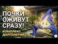 ТАЙ-ЧИ для улучшения здоровья ПОЧЕК и профилактики заболеваний ЭНЕРГИЯ КАК В ДЕТСТВЕ
