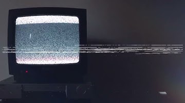 Week one! (Bonus Video!)