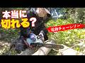 【女性DIY】プロが現場で検証。中華製電動チェーンソー　マキタ互換